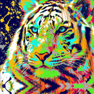 tigre AZUL DORADO2